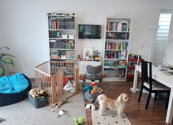 Veres projekt nappali Home Staging előtt
